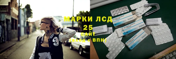 ПСИЛОЦИБИНОВЫЕ ГРИБЫ Верхний Тагил