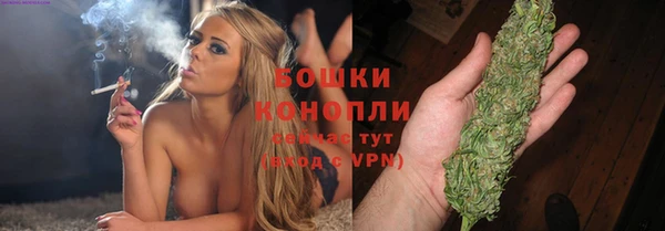 ПСИЛОЦИБИНОВЫЕ ГРИБЫ Верхний Тагил