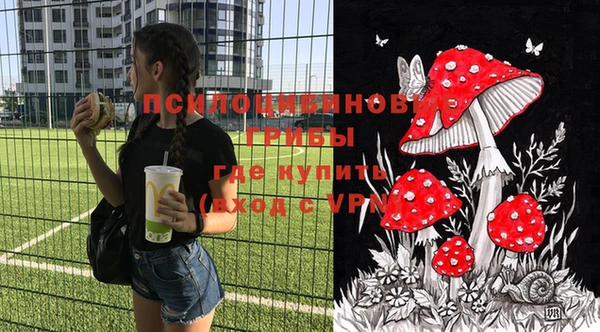ПСИЛОЦИБИНОВЫЕ ГРИБЫ Верхний Тагил