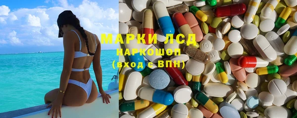 ПСИЛОЦИБИНОВЫЕ ГРИБЫ Верхний Тагил