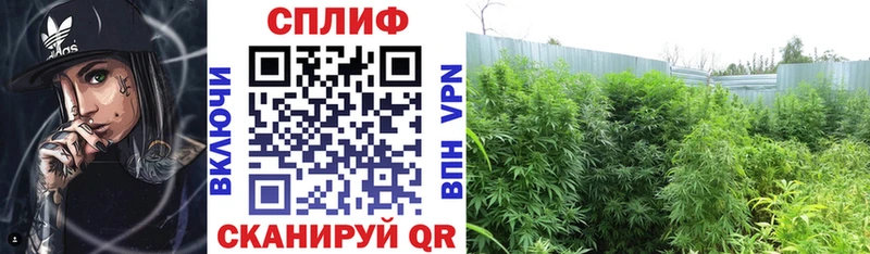 Марихуана Ganja  Купить где  Приморск 